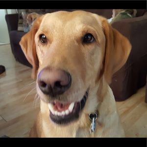 Meet your Posher, Julie